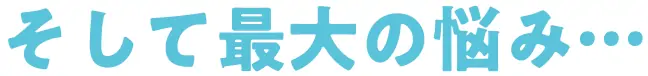 そして最大の悩み…